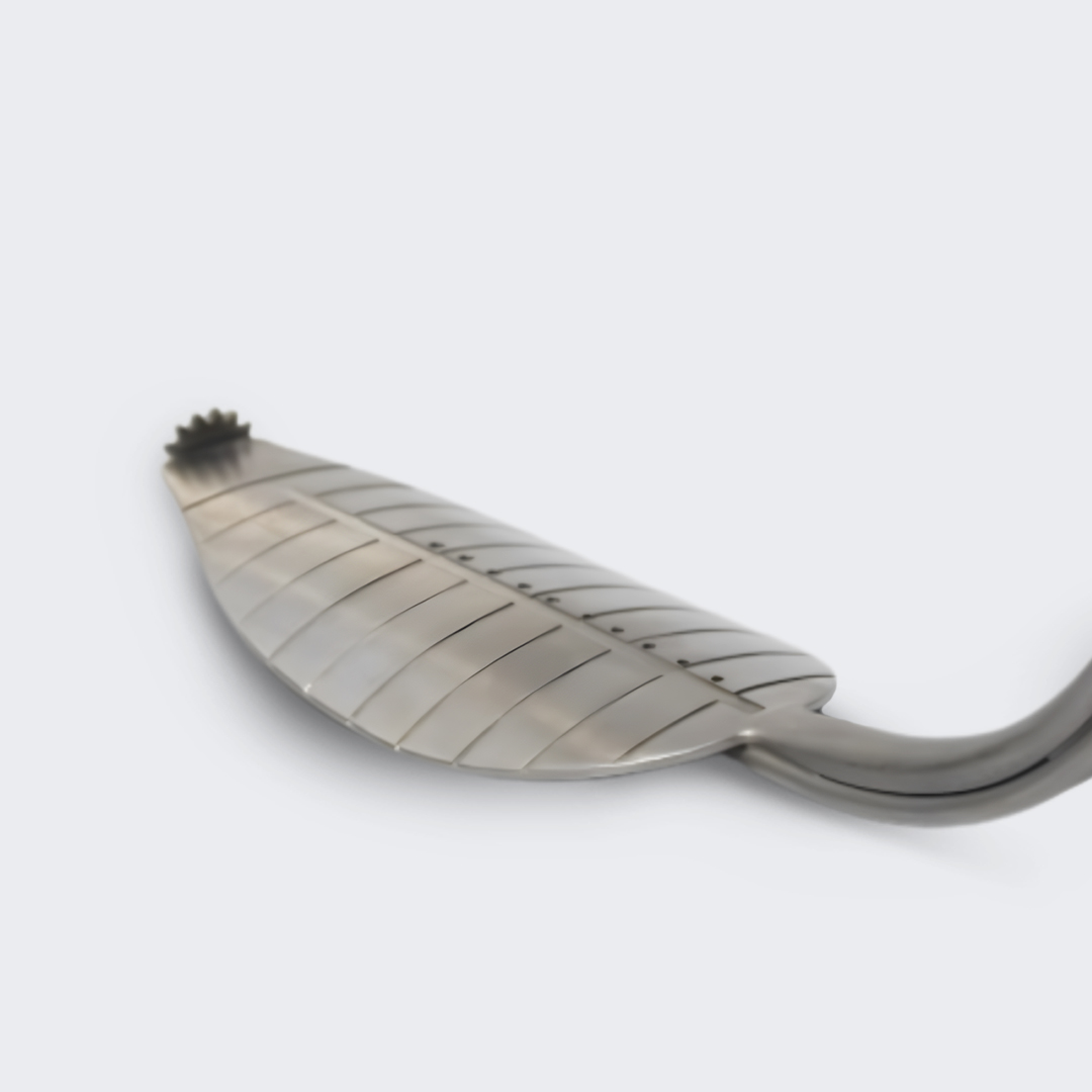The Hoyos Remora Retractor System